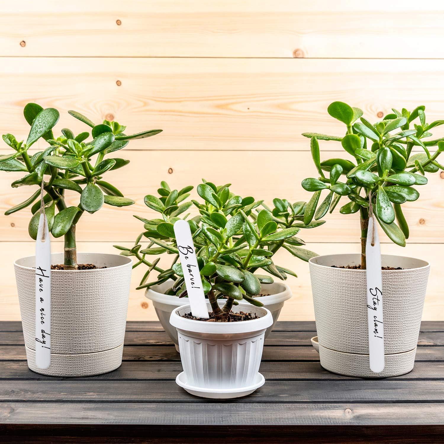 imageWhaline 200Pcs Thick Plastic Plant Label with Hole White Waterproof Garden Stake Tags with 2 Marker Pen and A Roll of Twine6 Inch4 Inch