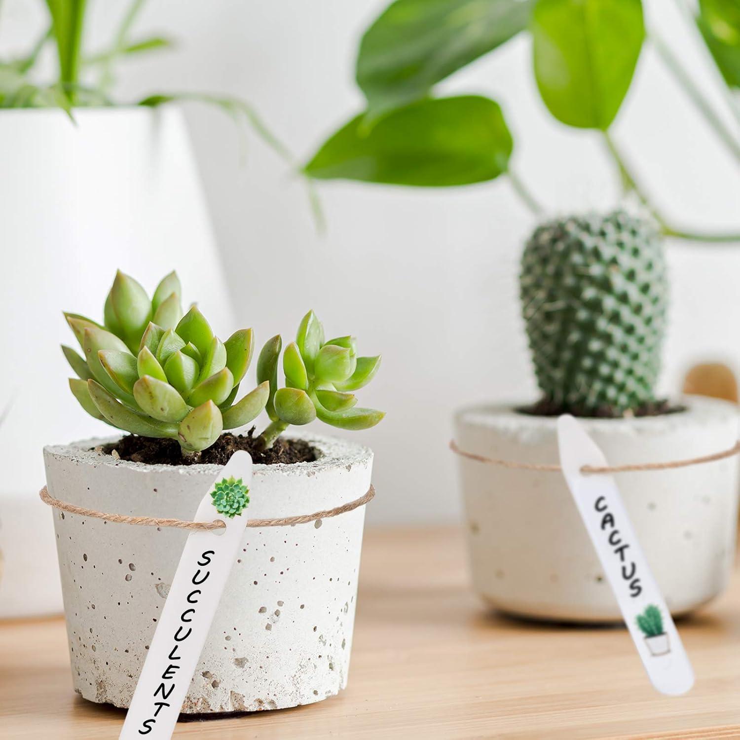 imageWhaline 200Pcs Thick Plastic Plant Label with Hole White Waterproof Garden Stake Tags with 2 Marker Pen and A Roll of Twine6 Inch5 Inch