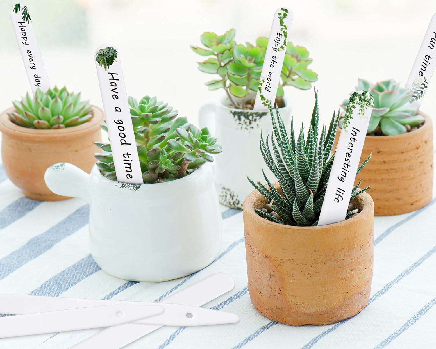 imageWhaline 200Pcs Thick Plastic Plant Label with Hole White Waterproof Garden Stake Tags with 2 Marker Pen and A Roll of Twine6 Inch5 Inch