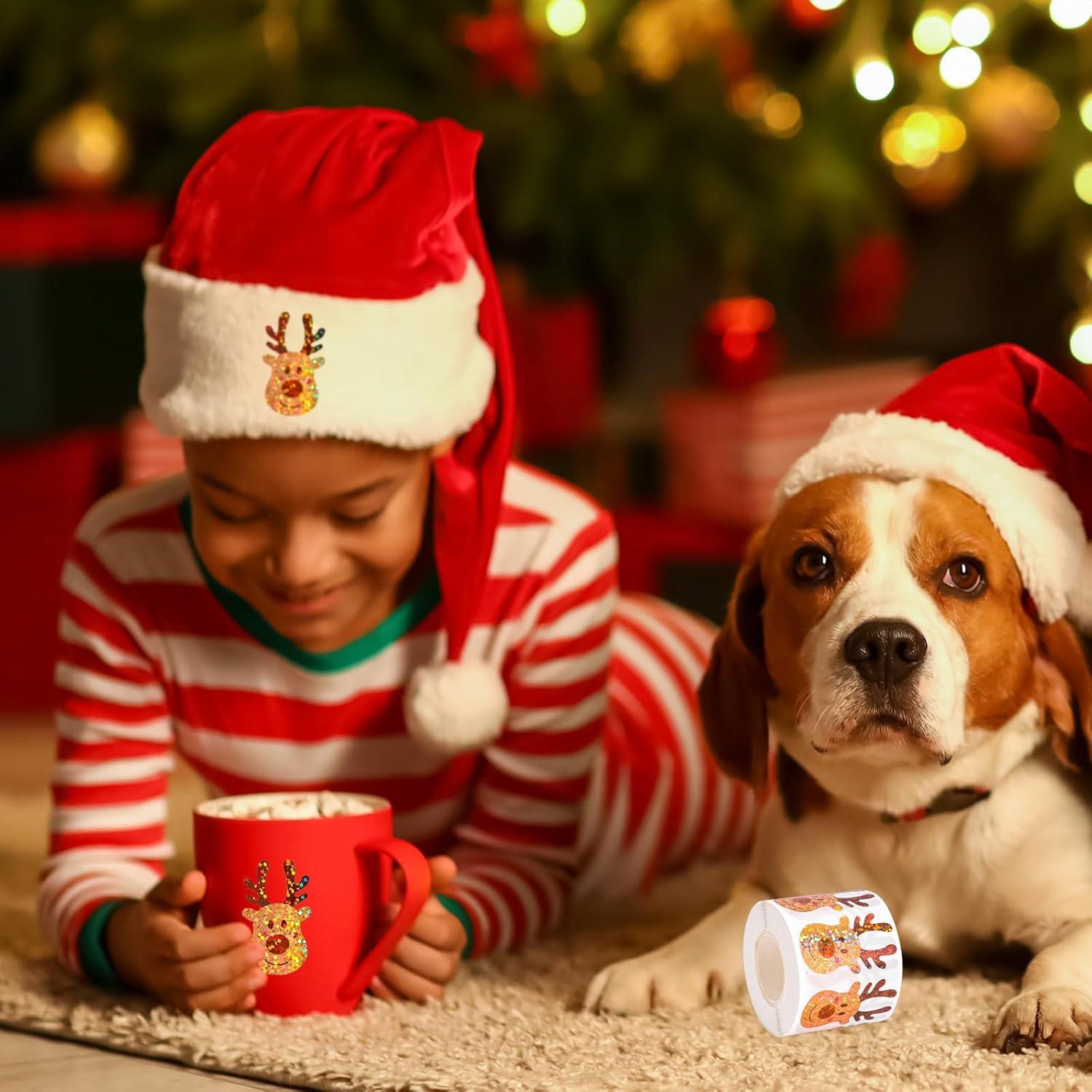 imageWhaline Halloween Pumpkin Stickers Roll Laser Pumpkin Shape Waterproof Decals Orange Sparkly SelfAdhesive Stickers for Halloween Trick or Treat Party Envelope Scrapbook Decor 500PcsDeer