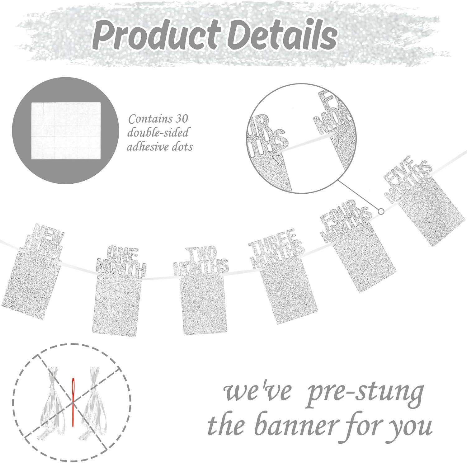 imageWhaline 1st Birthday Baby Photo Banner for Newborn to 12 Months Monthly Milestone Photograph Bunting Garland First Birthday Celebration Decoration Rose GoldSilver