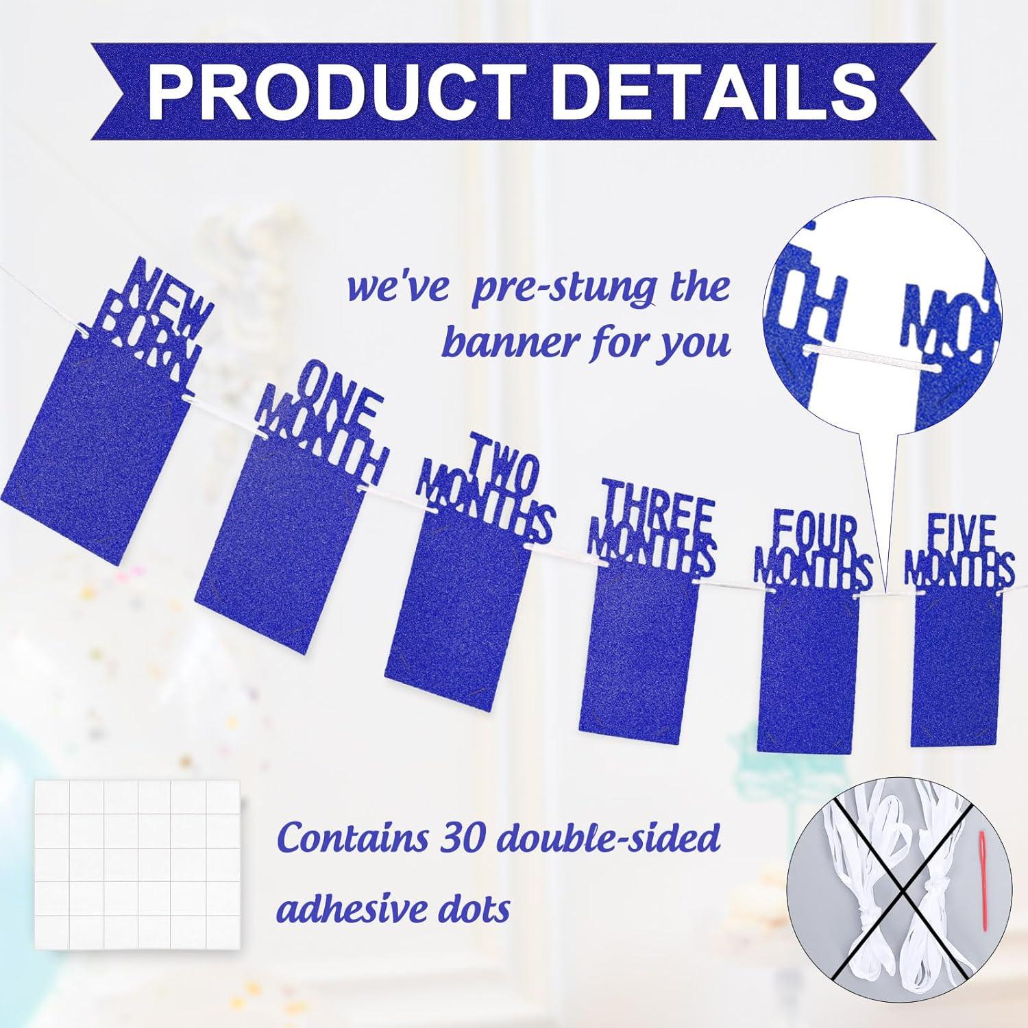 imageWhaline 1st Birthday Baby Photo Banner for Newborn to 12 Months Monthly Milestone Photograph Bunting Garland First Birthday Celebration Decoration Rose GoldNavy Blue